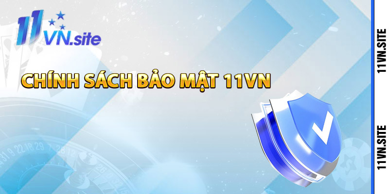 Giới thiệu chính sách bảo mật 11Vn